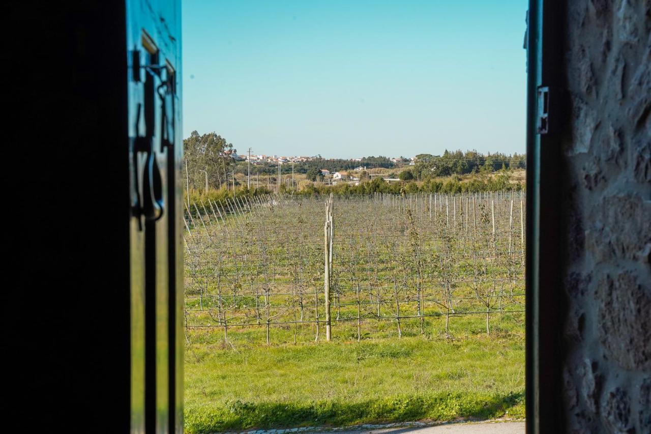 فيلا Casa Rustica, Perto Do Castelo De Óbidos المظهر الخارجي الصورة